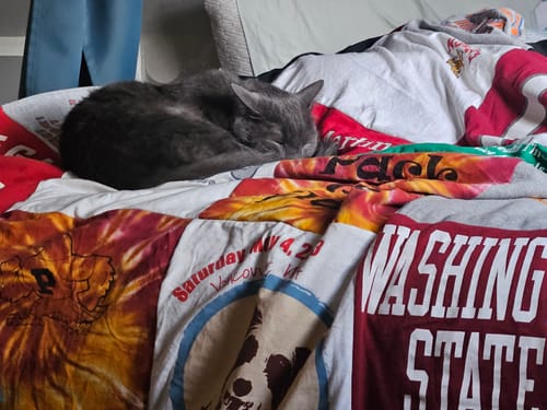 T-shirt quilt from washington state university by Samantha from WA