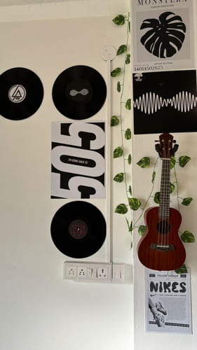 Customer photo review of VINYL RECORDS - ALTERNATIVE ROCK