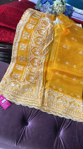 Customer photo review of Ray of light Designer Organza Silk Saree