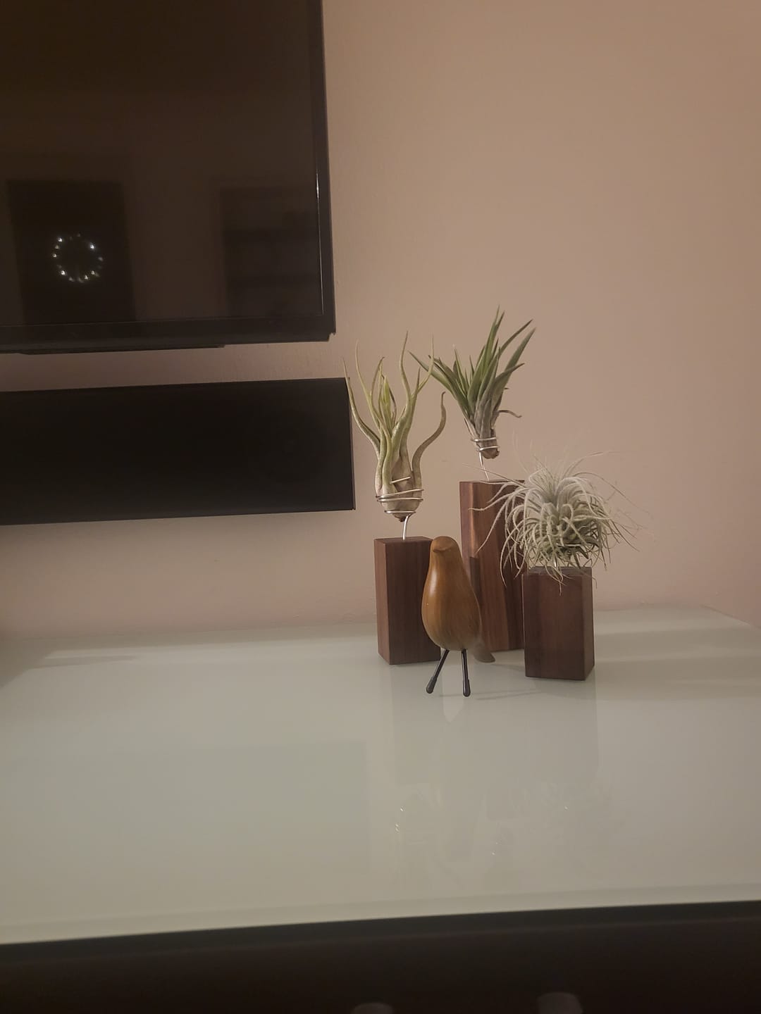 Customer photo review of Tilly Xylo - Nußbaum
