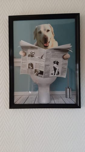 Customer photo review of Belangrijke sessie -  Gepersonaliseerde poster