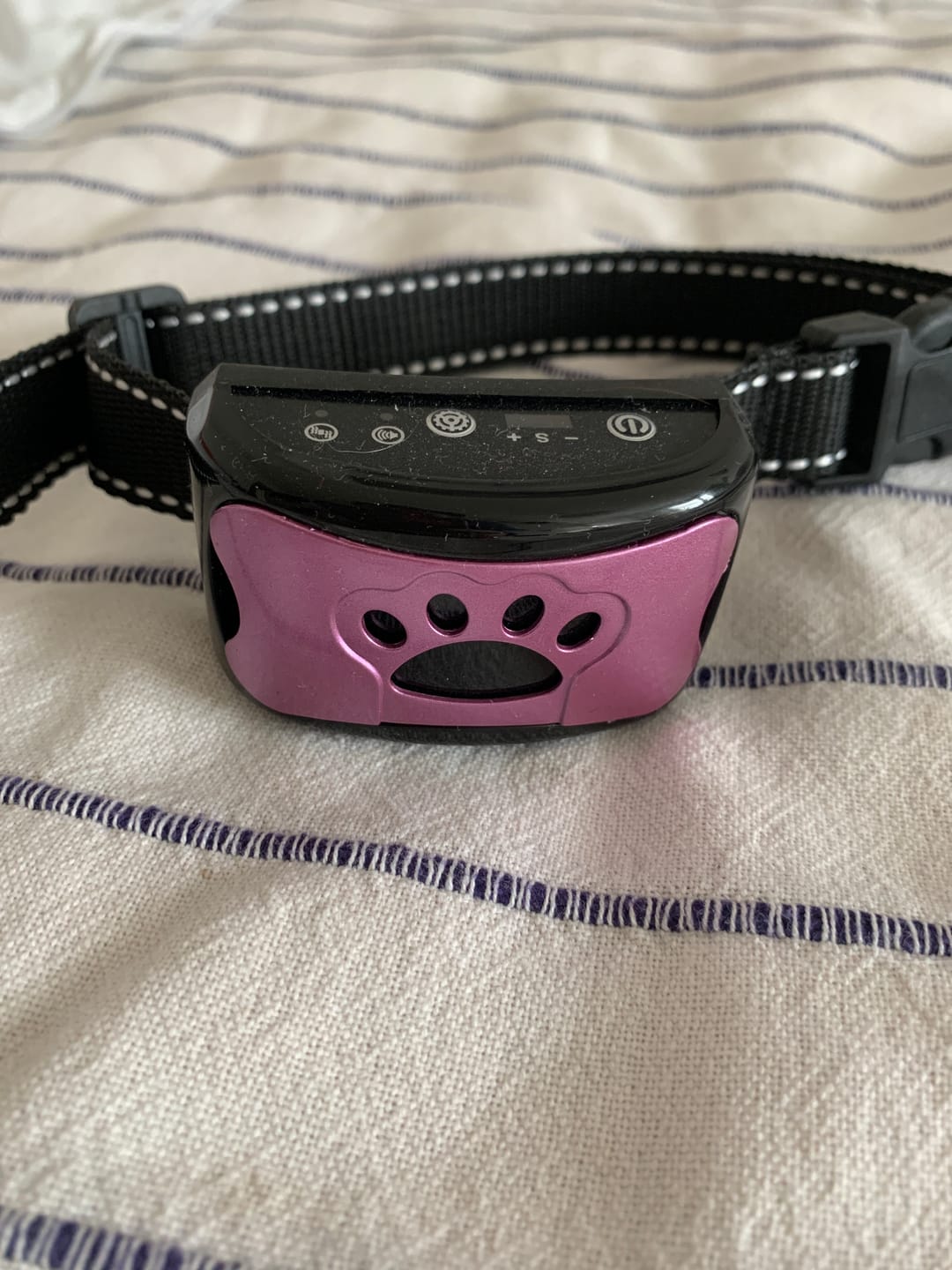 Customer photo review of Emmalove - Tierfreundliches Anti-Bell Halsband
