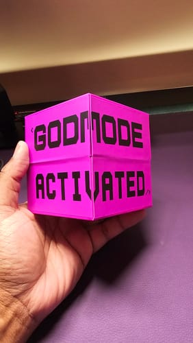 Customer photo review of SANWEAR-GT