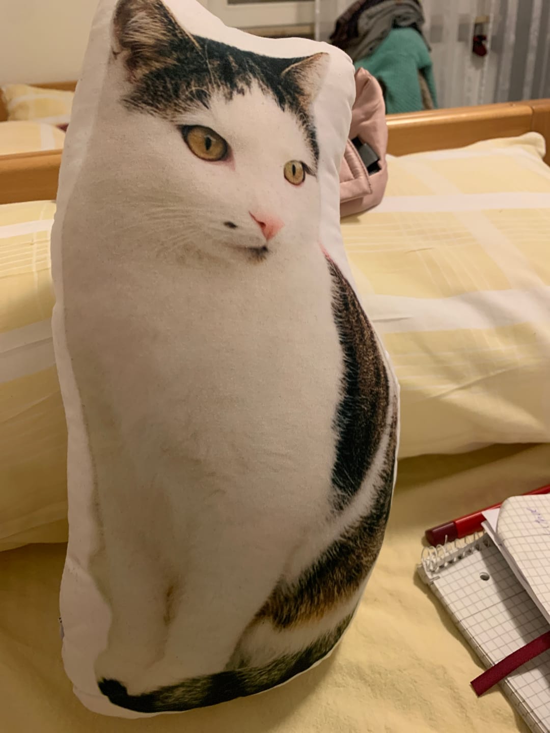 Customer photo review of Personalisiertes Katzenkissen