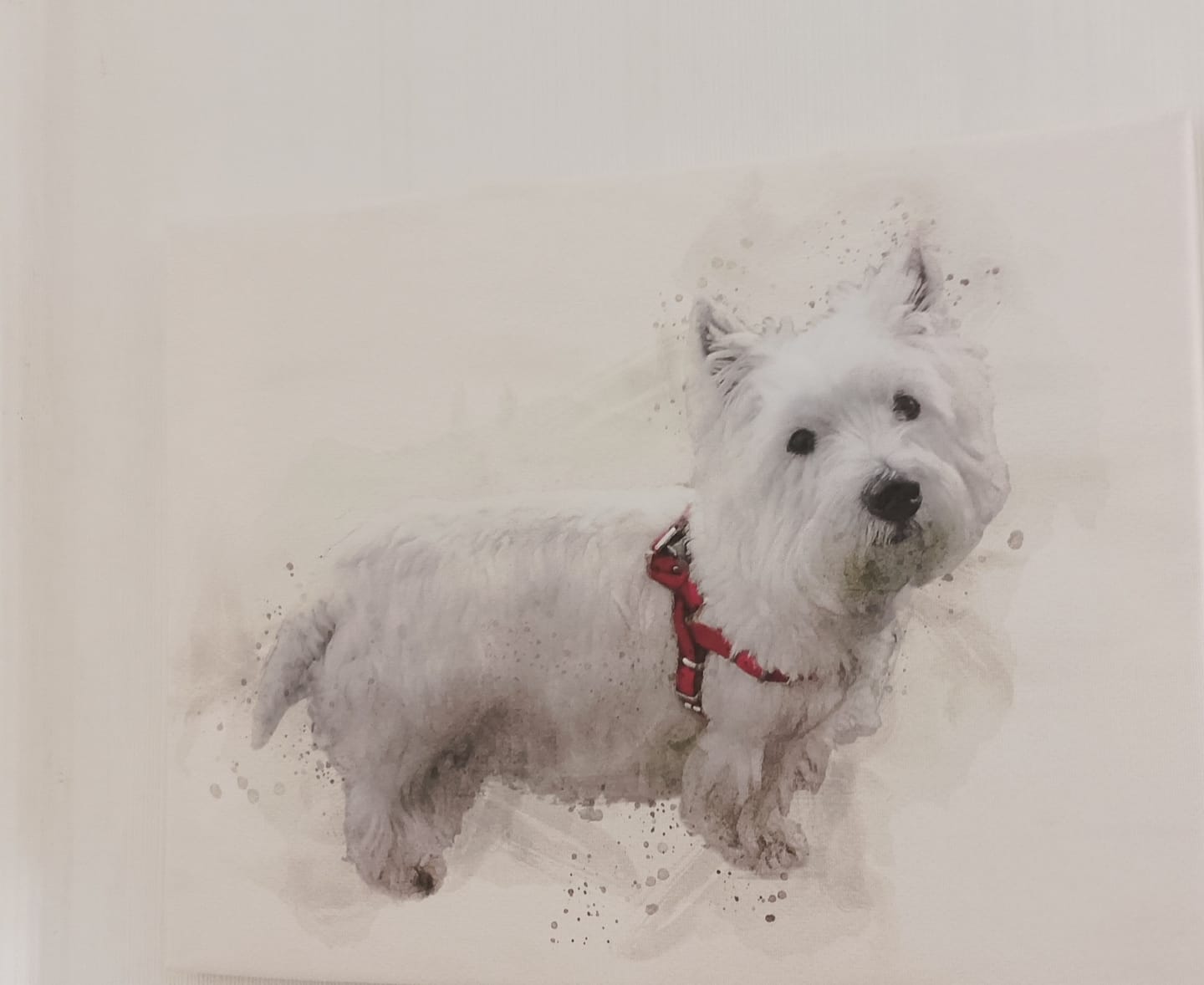 Customer photo review of Hundeportrait nach Foto