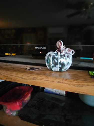 Customer photo review of Baby Winter Frost Pumpkin