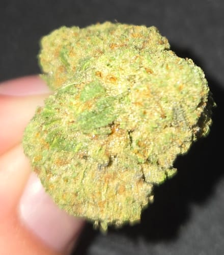 Customer photo review of Oreoz x Muel Fuel