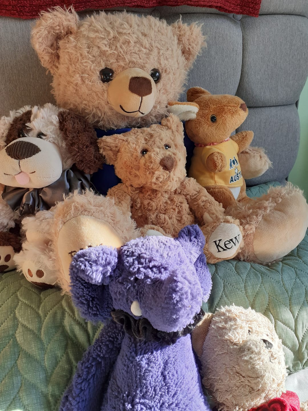 Customer photo review of Donate to Eddy the Teddy