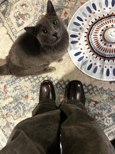 Customer photo review of Maro Crack Brown (made-to-order)