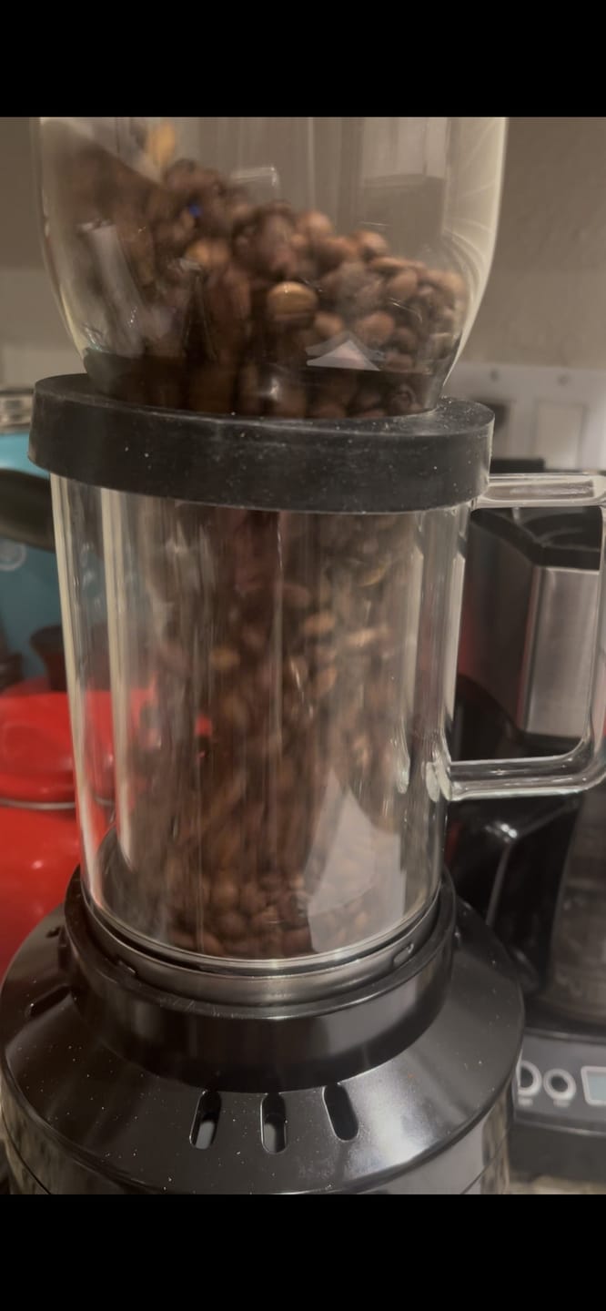 Customer photo review of Fresh Roast SR800