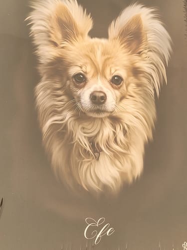 Customer photo review of Öl Pawtrait