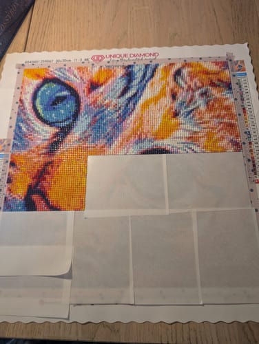 Customer photo review of 5D Diamond Painting Fantasy Katzengesicht