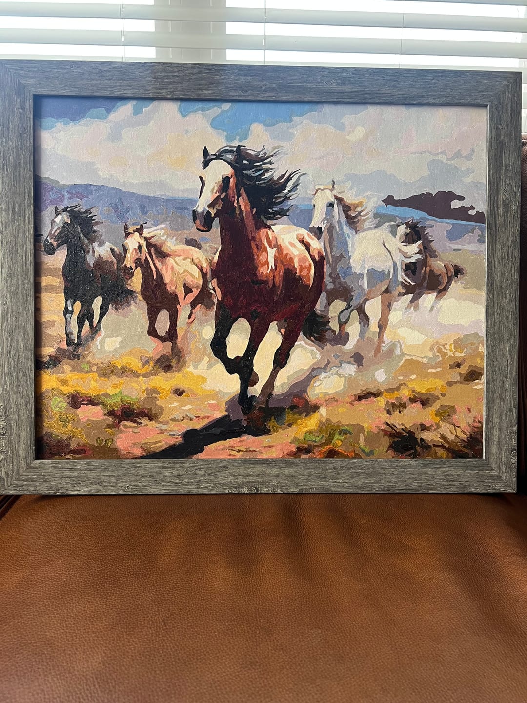 Customer photo review of Desert Horse Gallop