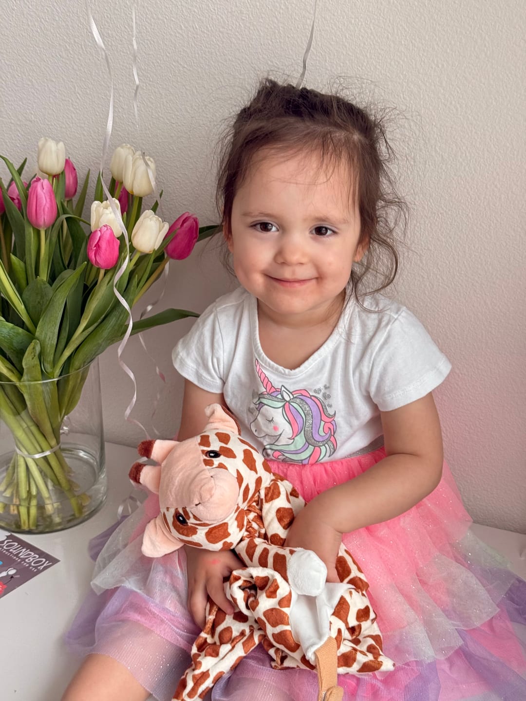 Customer photo review of Aria the Giraffe