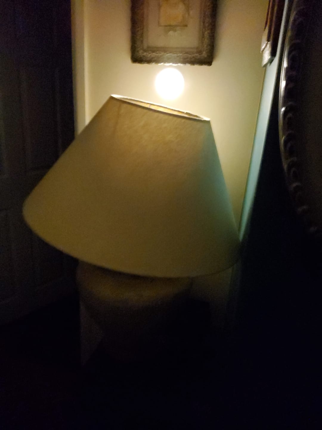 Customer photo review of Lumi™ Motion Light