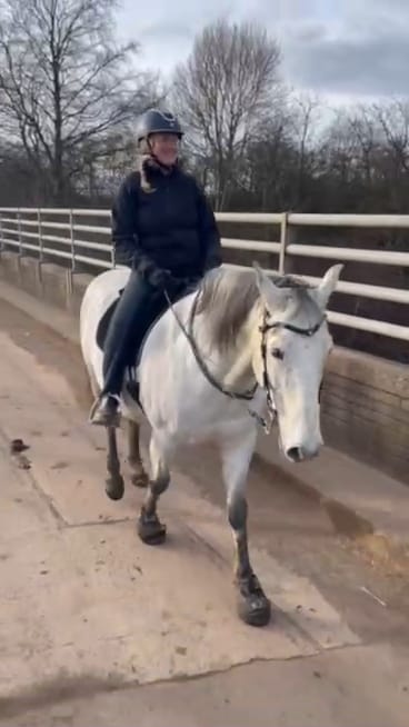 Customer photo review of Coco bridle