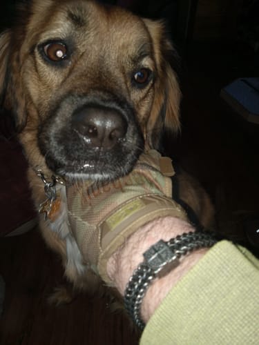 Customer photo review of Overcome Evil Compass Chain Bracelet - Helps Pair Veterans With A Service Dog Or Shelter Dog