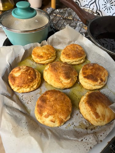 Meagan B. review of Protein Biscuits and Gravy image 1 out of 1