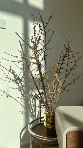 Customer photo review of Frato Service Trolley - JK-D210