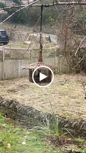 Customer video review of The Bird Feeder - Online Course and Kit