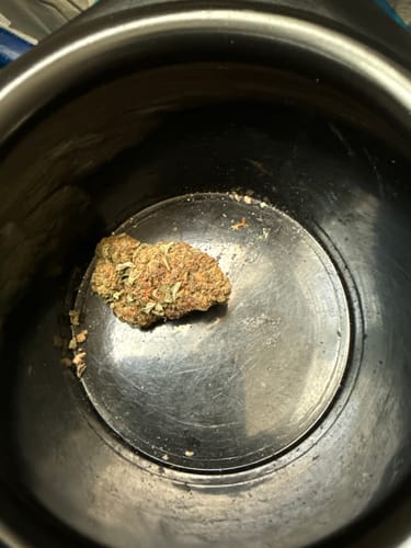 Customer photo review of Space Junkie