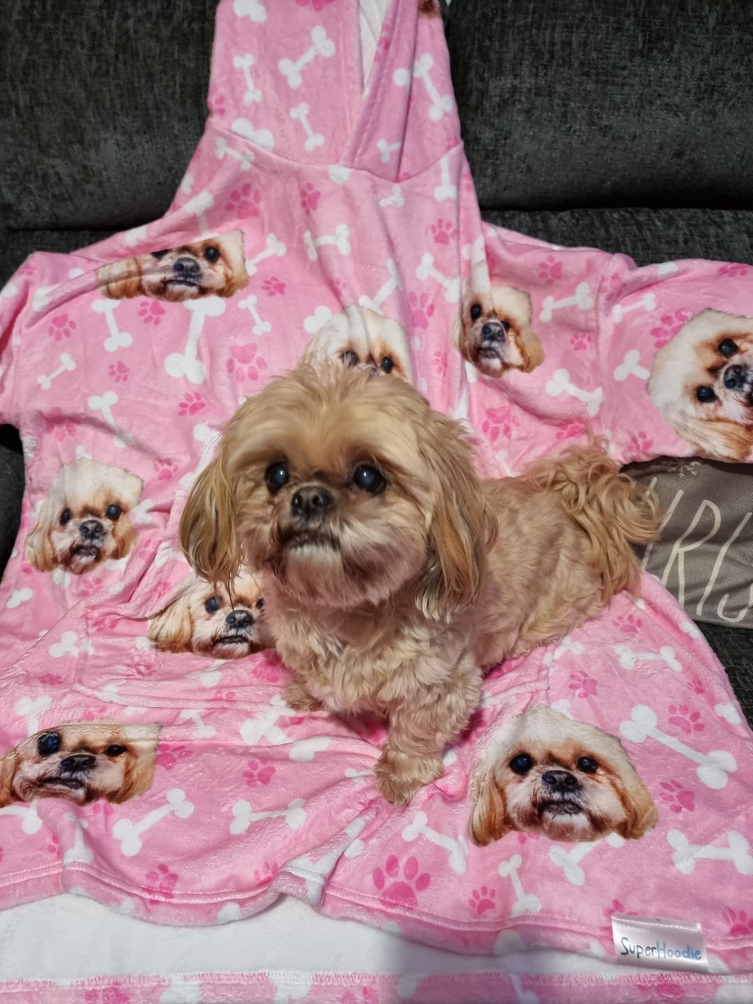 Customer photo review of Custom Dog Hoodie
