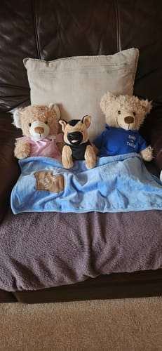Customer photo review of Woof Woof the Dog