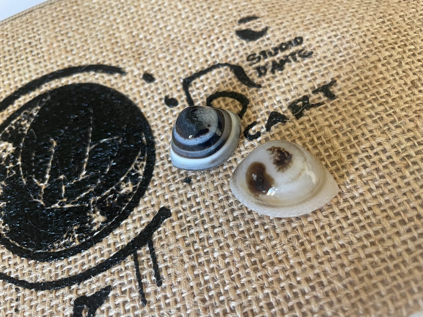 Customer photo review of Occhio di Shiva per la Protezione - Agata Botswana