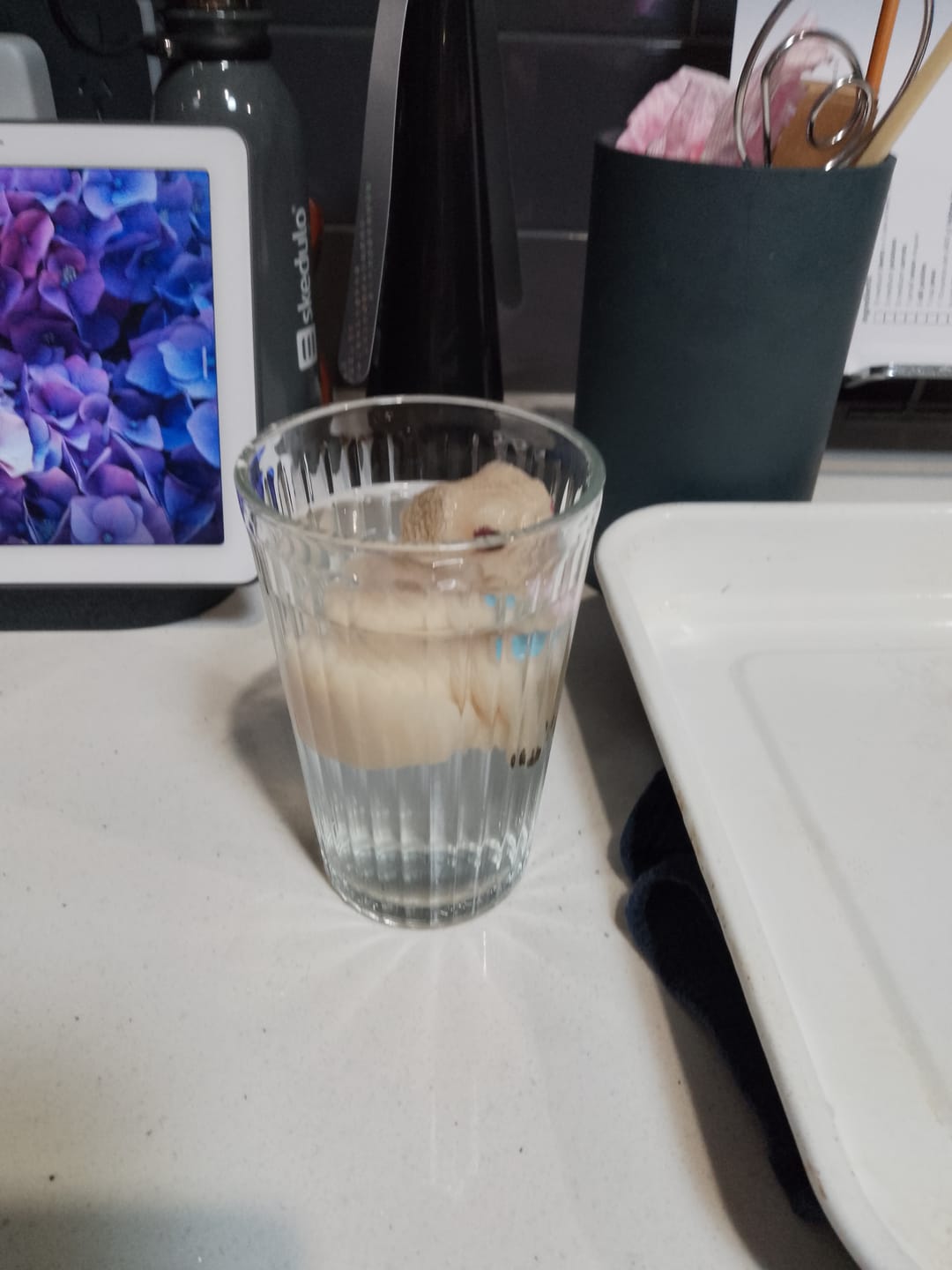 Customer photo review of Grow Your Own Pug