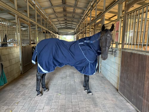 Customer photo review of LE Fieldsafe Universal Cotton Sheet