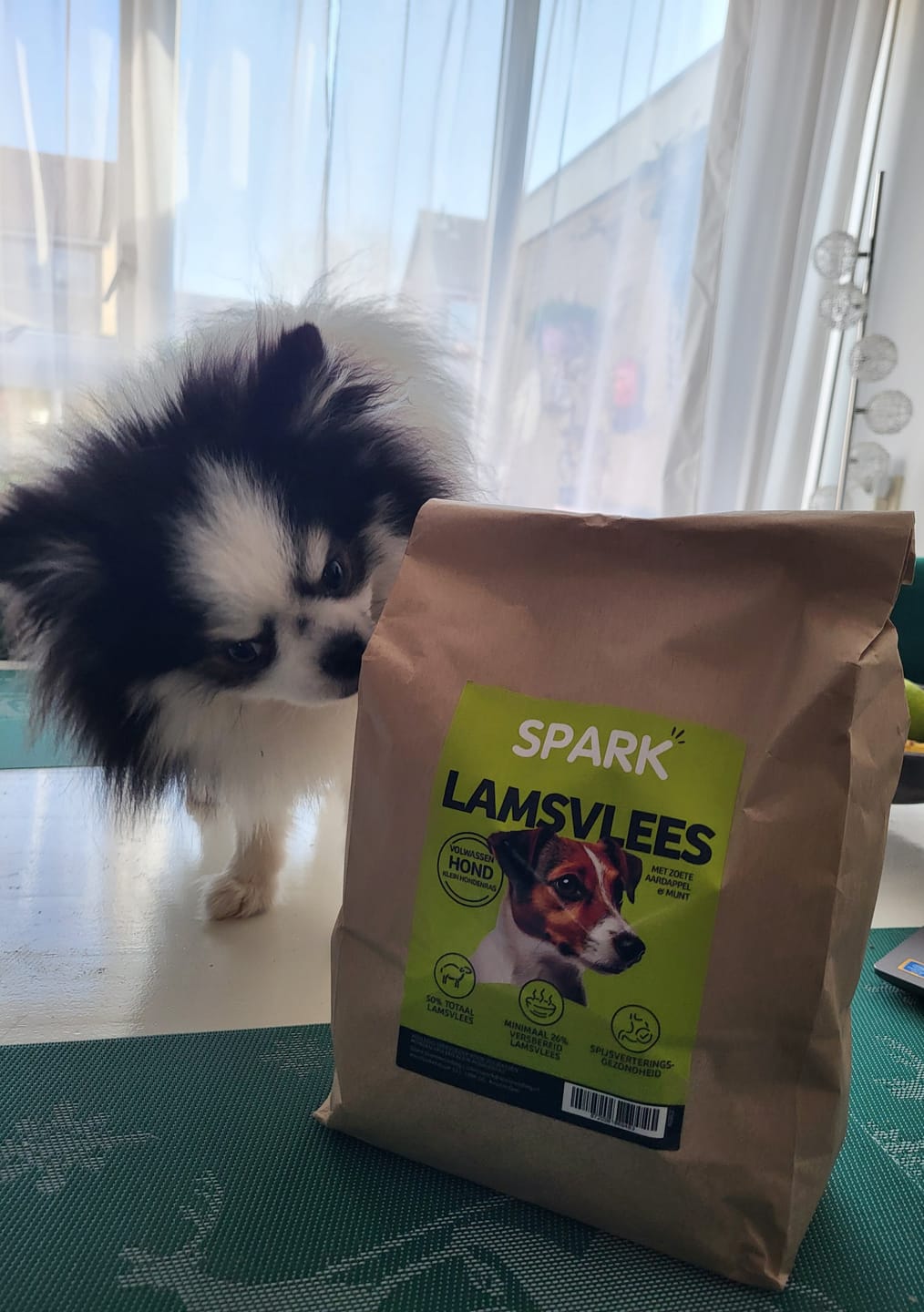 Customer photo review of Volwassen - Klein - Lamsvlees met Zoete Aardappel & Munt