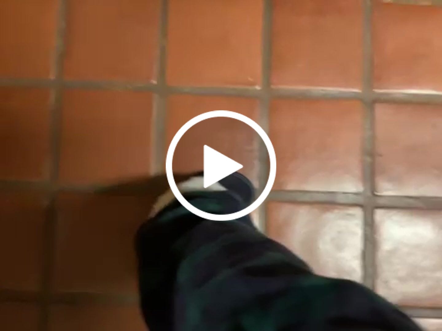 Customer video review of Women's Lazybone Garneau Sheepskin Slippers