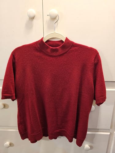 Customer photo review of Crimson Red Cashmere Short Sleeved Turtle Neck Jumper Extra Large