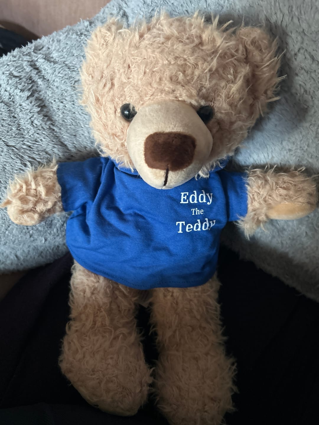 Customer photo review of Eddy The Teddy Bear