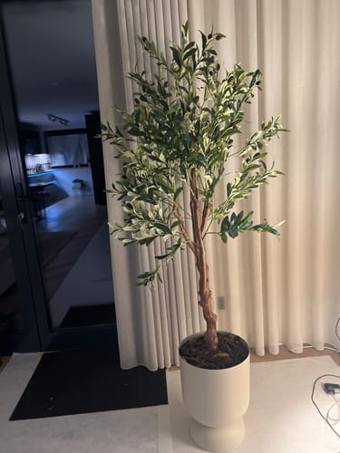 Customer photo review of Kunst Olijfboom 150cm
