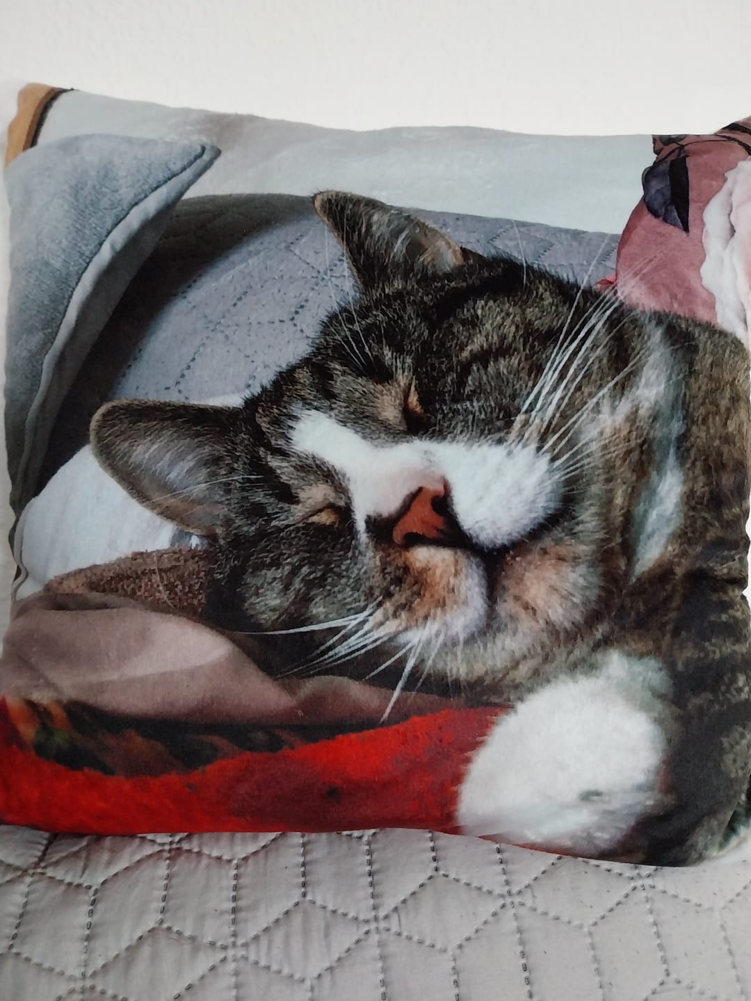 Customer photo review of Fotokissen - Individuelles Kissen