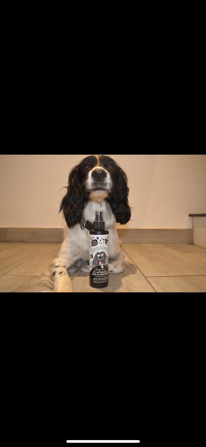 Customer photo review of 2 in 1 Detangler & Leave in Conditioner with Avocado & Coconut for Dogs