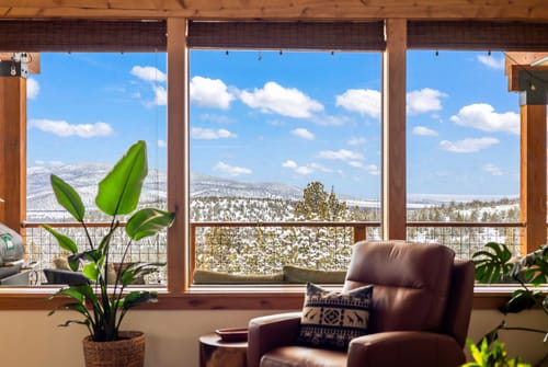 Customer photo review of Fungus Gnat Death Drops