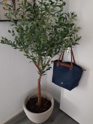 Customer photo review of 10 liter Frans Boomschors