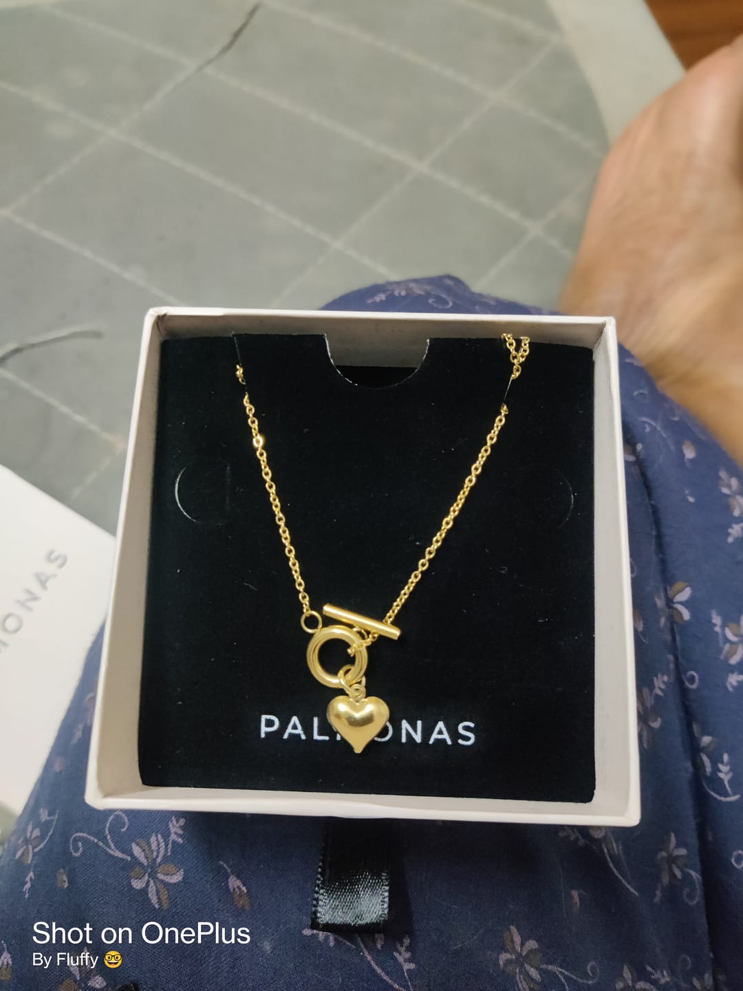 Customer photo review of Ridge Heart T-Bar Necklace