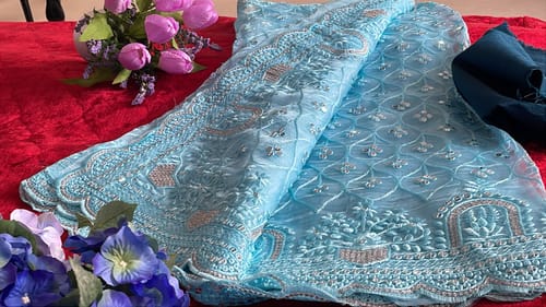 Customer photo review of Feather's Fair- Blue Organza