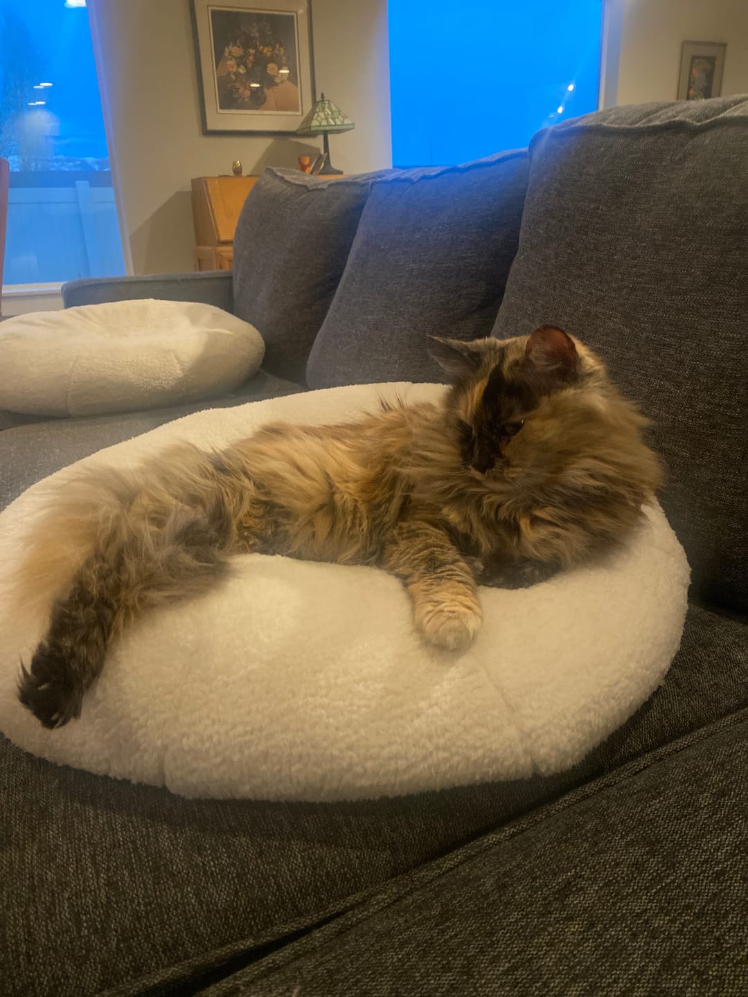 Customer photo review of Marshmallow Pudding Bed