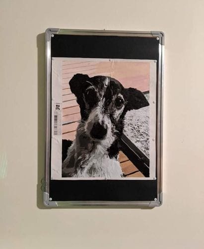 Customer photo review of Custom Paint by Numbers