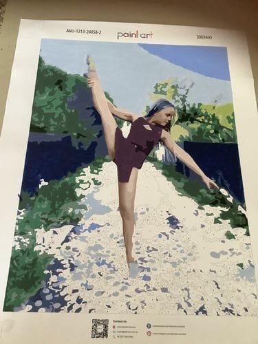 Customer photo review of Custom Paint by Numbers