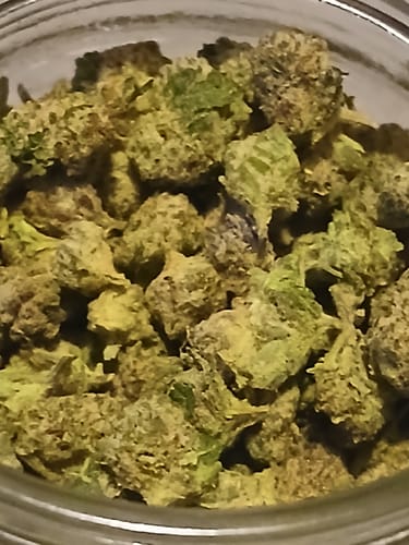 Customer photo review of Gorilla Glue THCA Flower