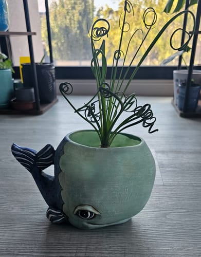 Customer photo review of Whale Planter | Hand-Painted Polyresin Ocean-Inspired Planter with Drainage