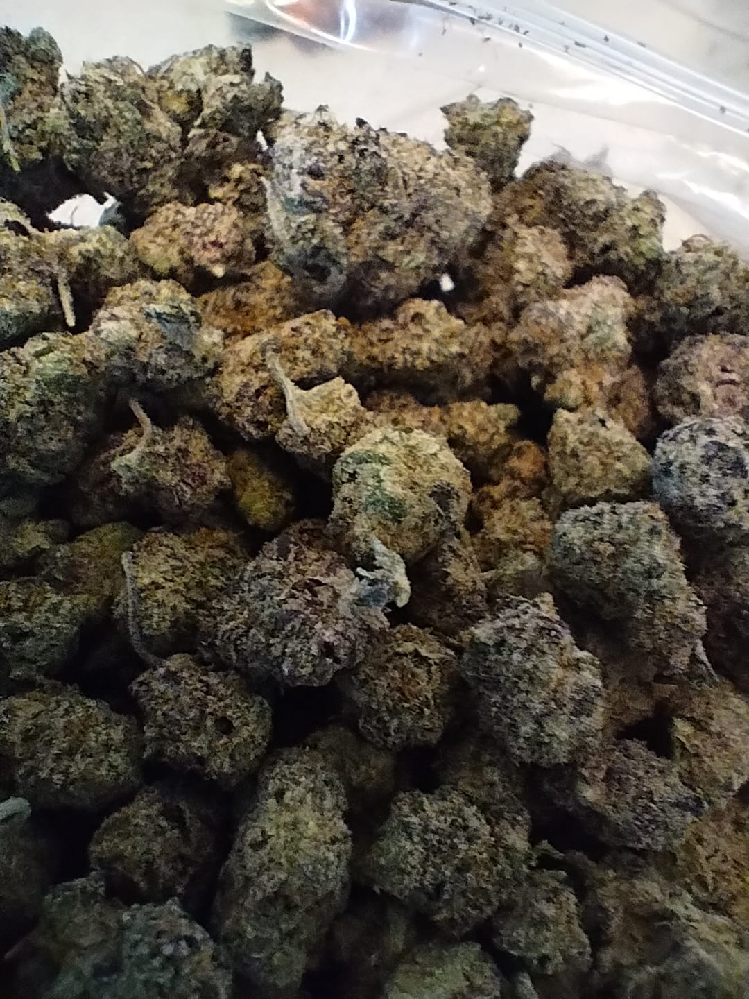 Customer photo review of Pink Certz THCA Live Resin Dabs (1 G)