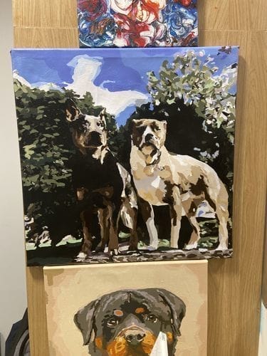 Customer photo review of Custom Paint by Numbers