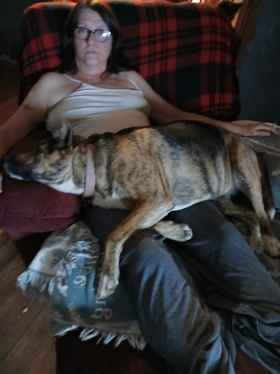 Customer photo review of FurLife Shipping Protection