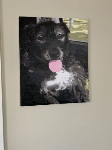 Customer photo review of Custom Paint by Numbers